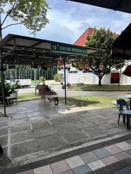 Mayflower Shopping & Food Centre (D20), Shop House #462653091